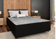 3620388(2)_site