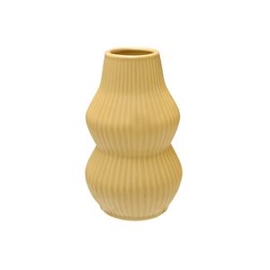 Vaso Corp -