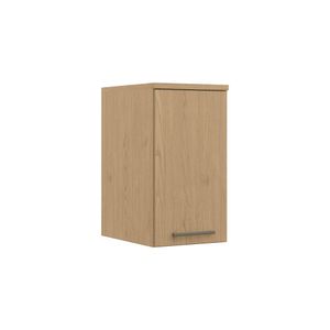 Módulo Aéreo Com 1 Porta Elegance 4243a -
