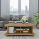1100478(1)_site