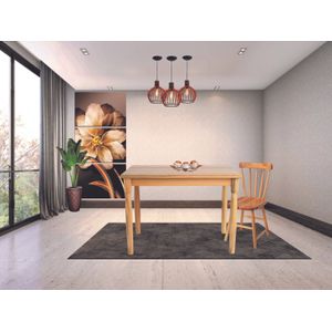Conjunto Com 2 Cadeiras Fabiana Sem Estofado -